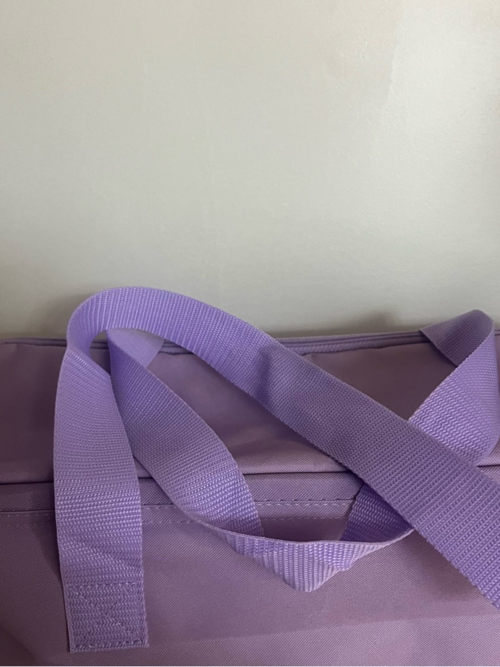 Trader Joe's Large Lavender Insulated Reusable Cooler Bag NEW - Picture 3 of 3